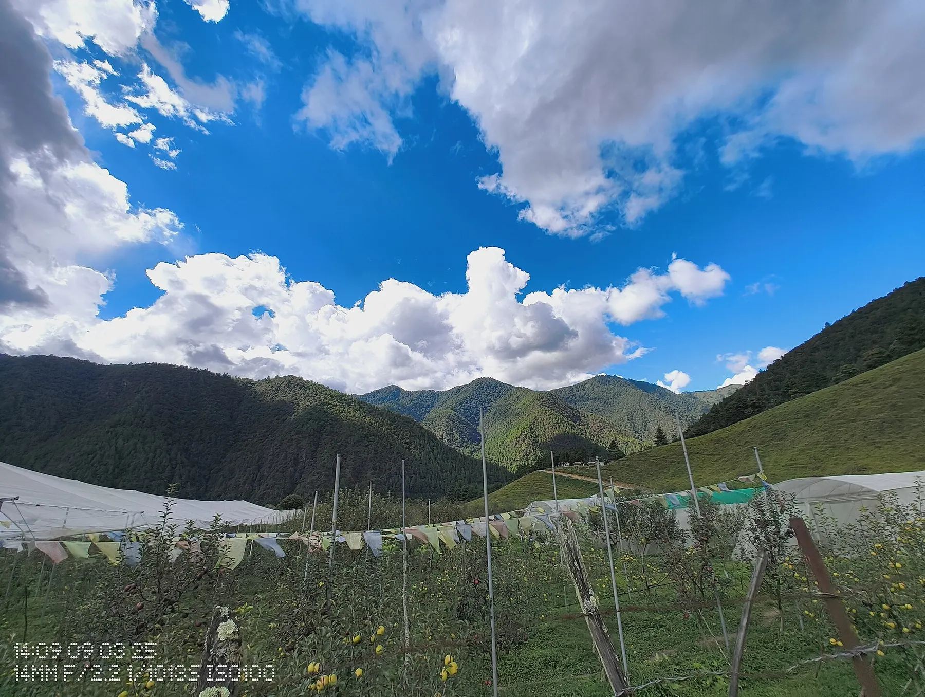 Apple orchards and green hills of Shergaon under a blue sky